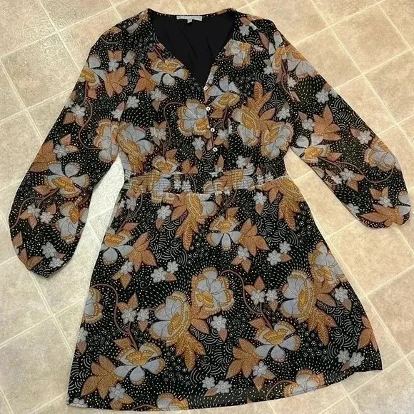 Daniel rainn - Picture 1 of 4